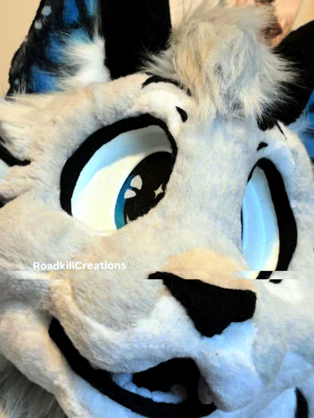 @RoadKill Creations Fursuits