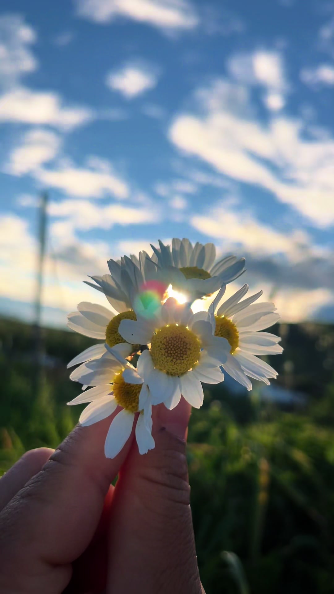 @doga_nefes