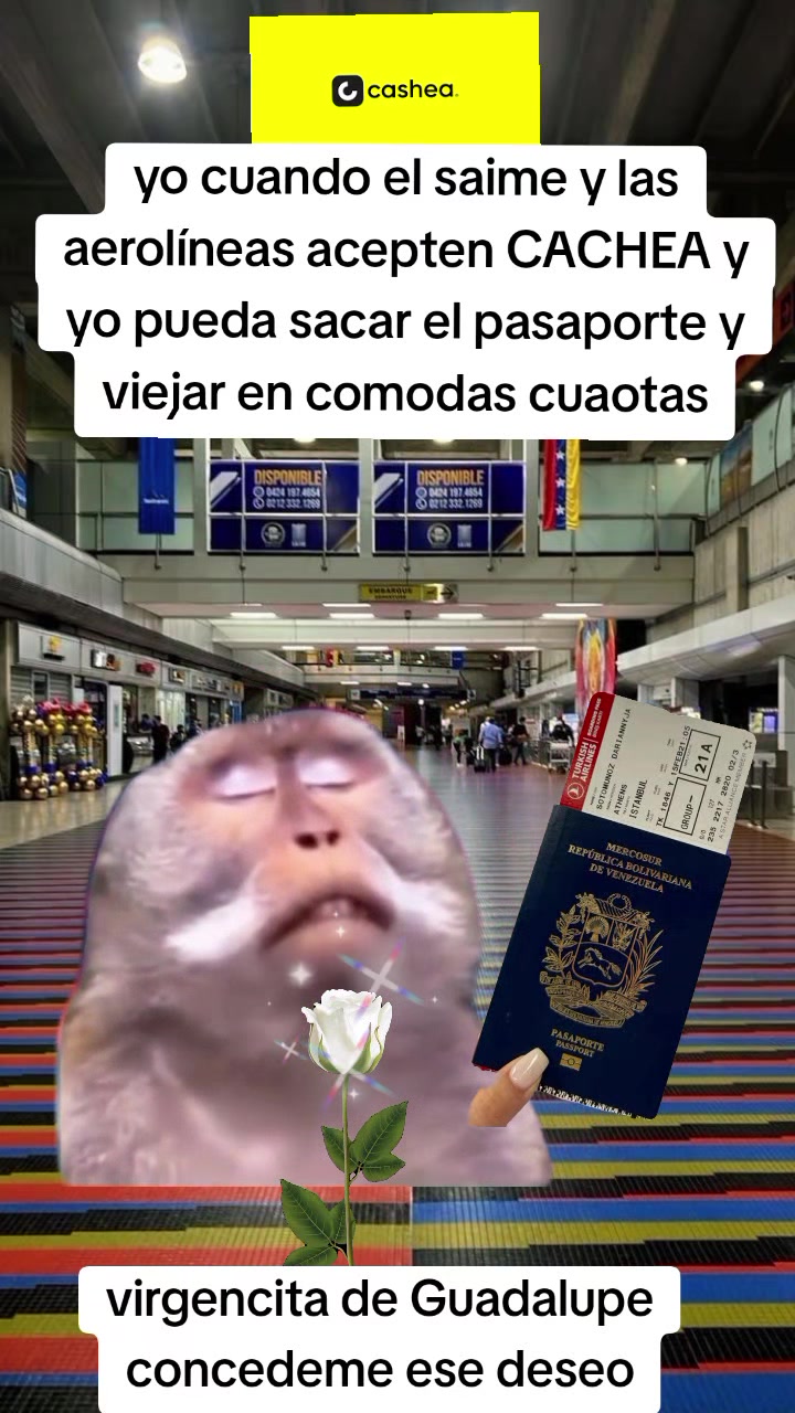@Karol 💅🏼