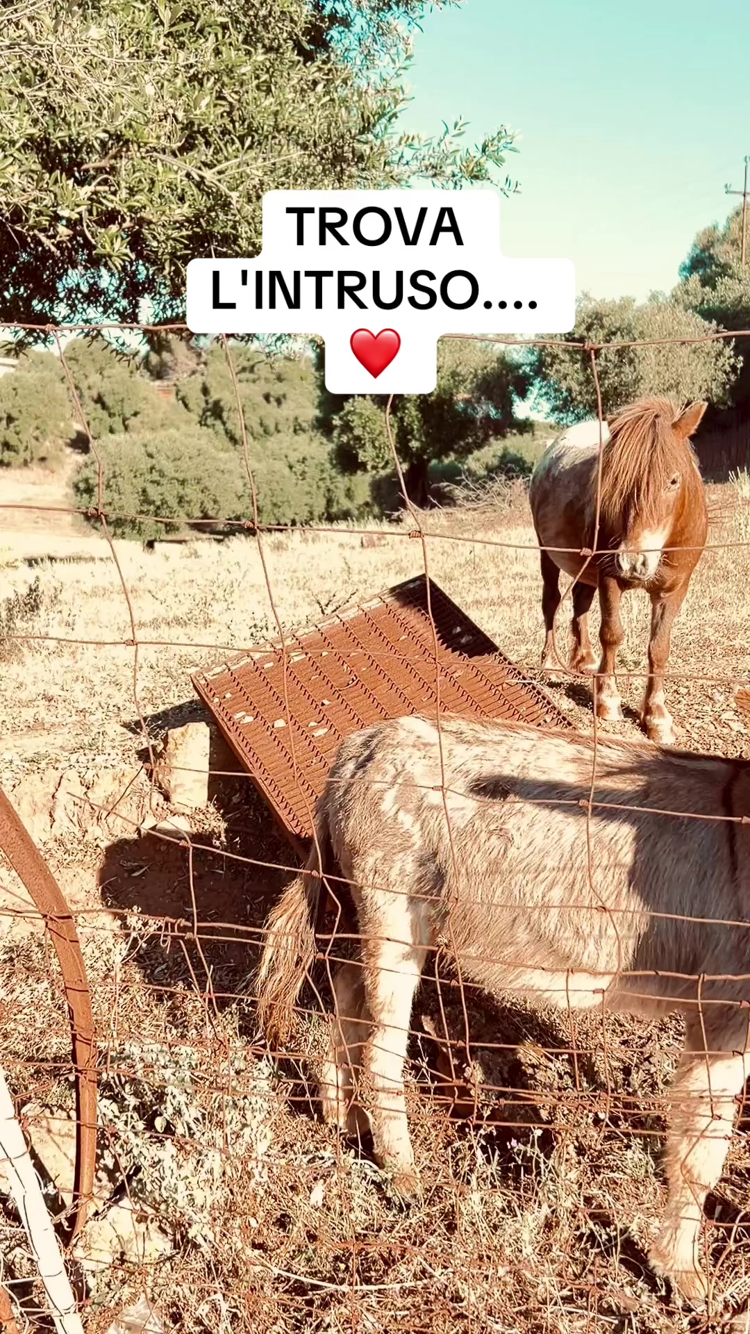 @JO 76