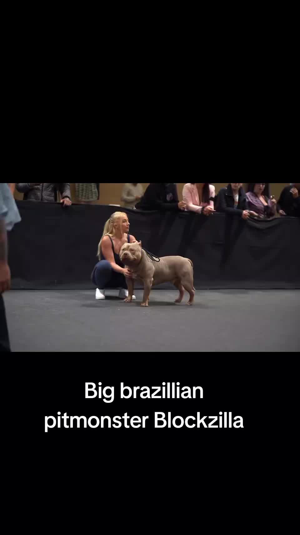 @bullyranchespania