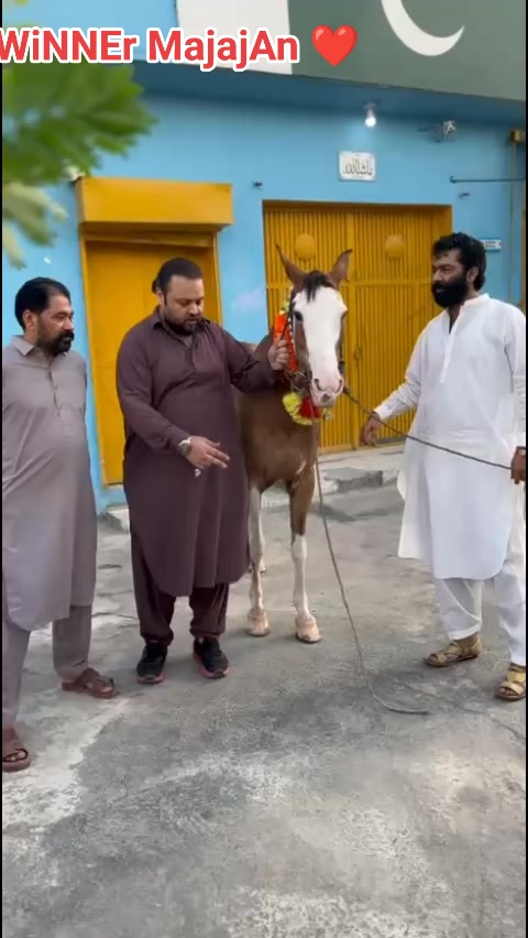 @junaid_Bhatti