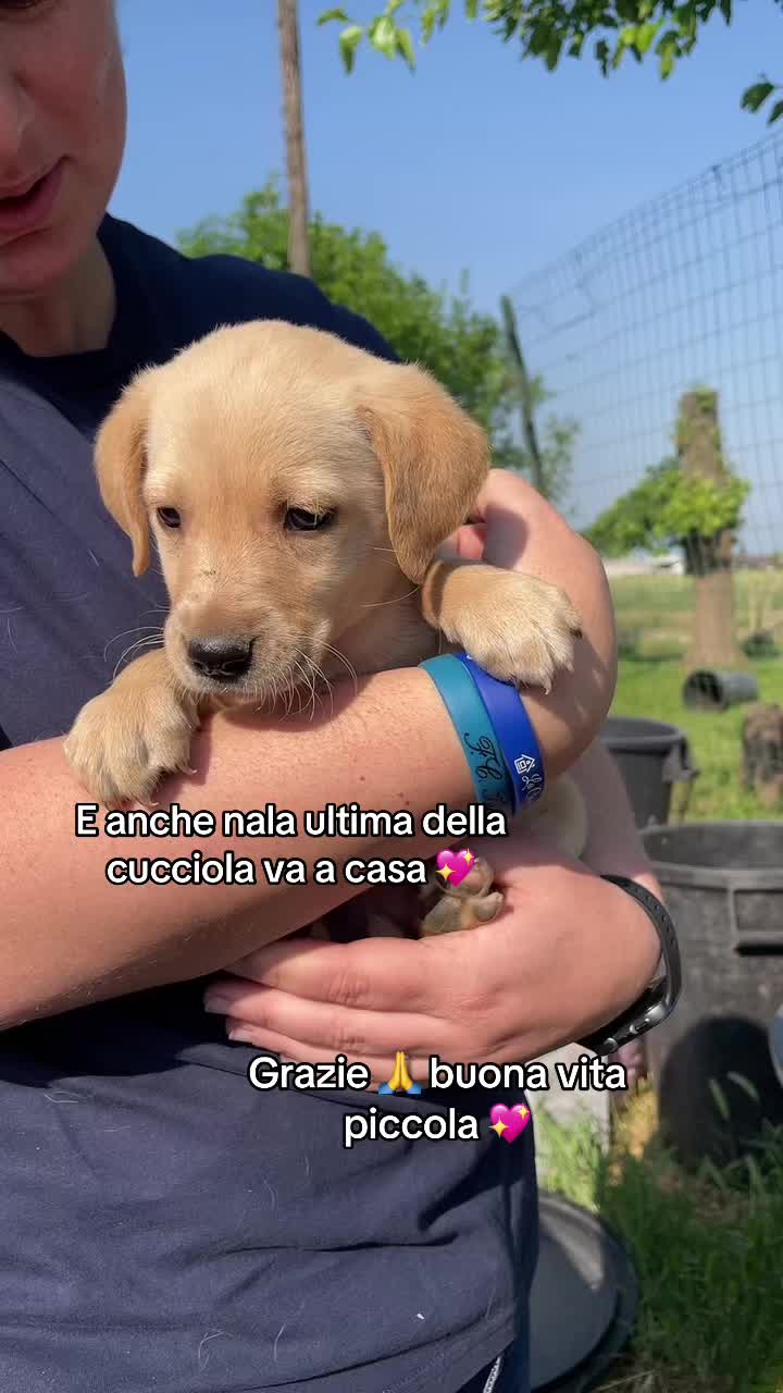 @KIRA❤️LEYLA💙