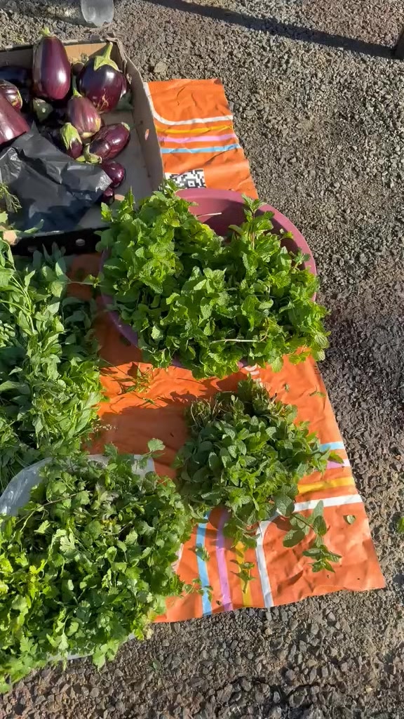 @Francistown Farmer's Market
