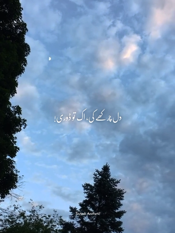 @𝙏 𝘼 𝙔 𝙔 𝘼 𝘽🍁&bull;