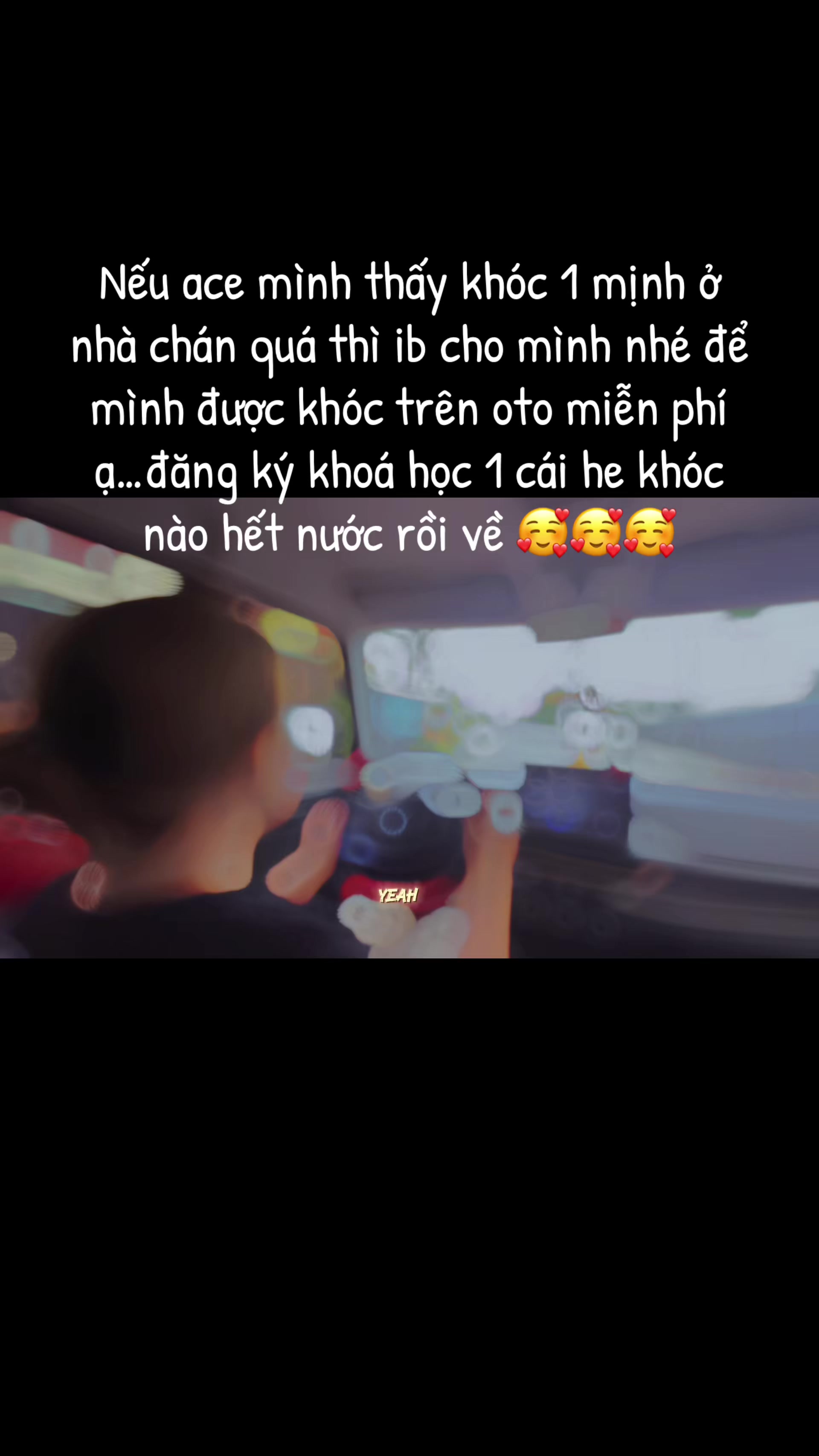 @Anh Th&agrave;nh Dạy L&aacute;i