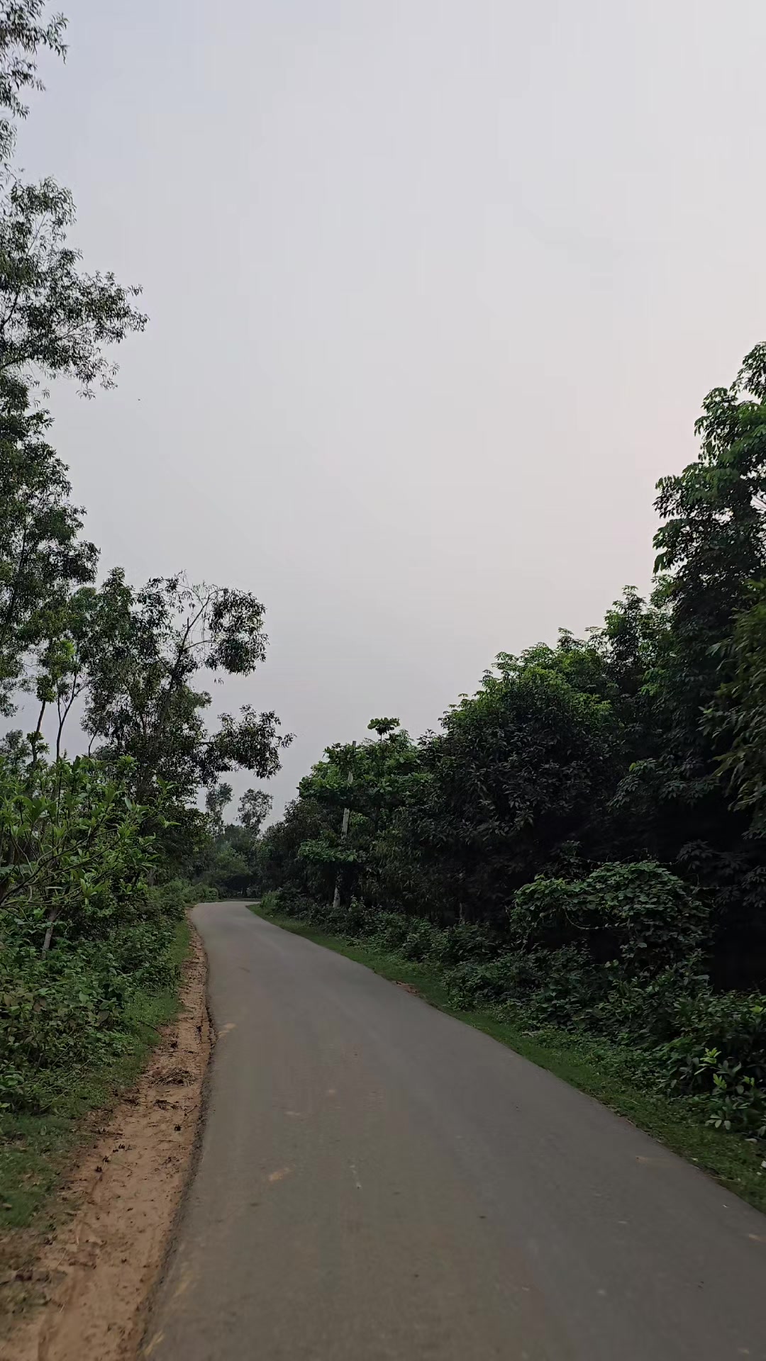 @Kaif Talukdar Apon