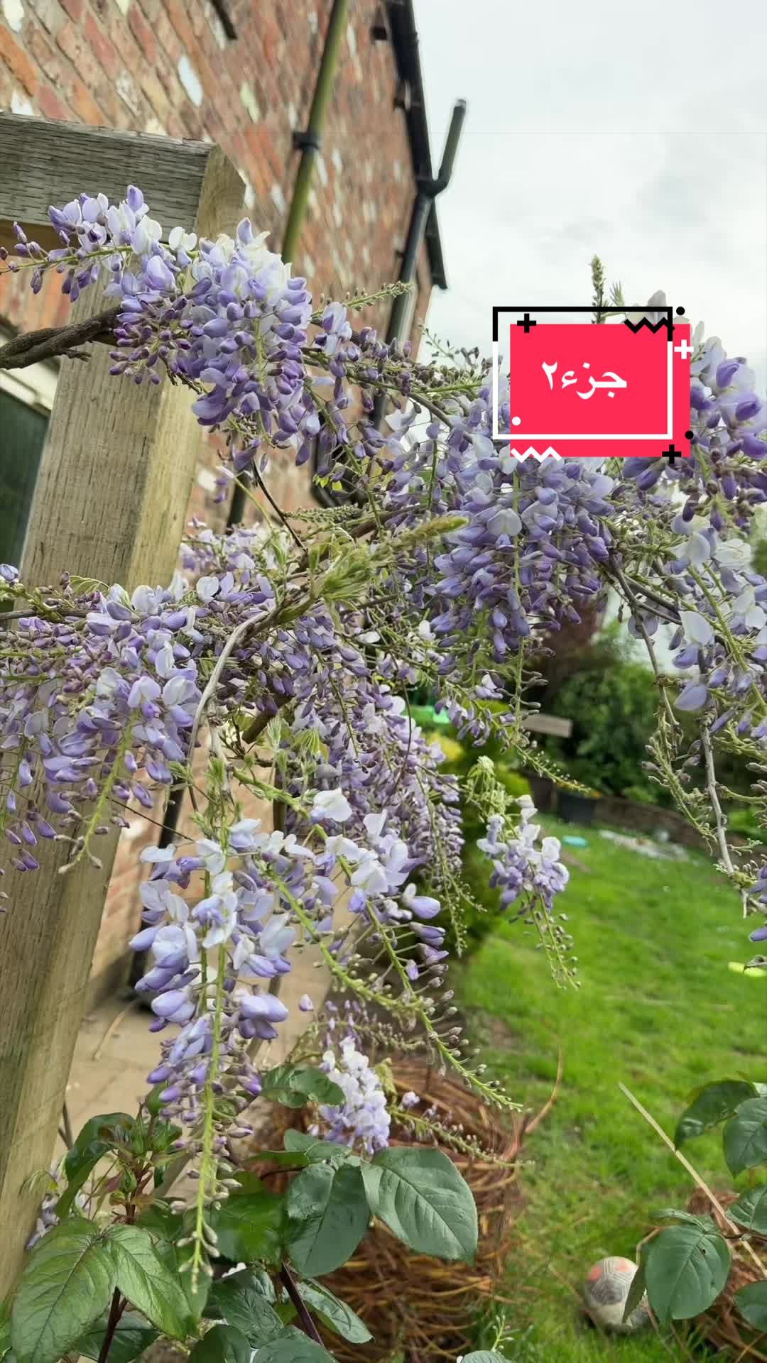 @Hanadi هنادي