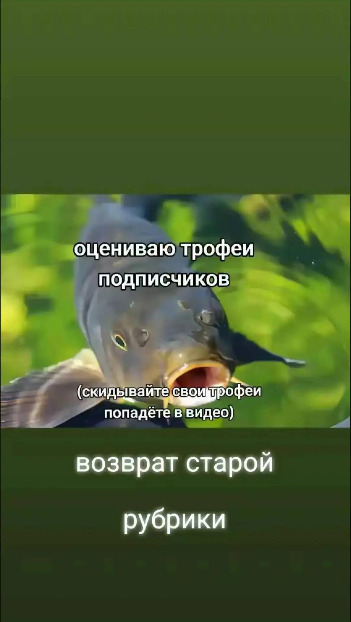 @🎣Рыбалка и многое другое🎣