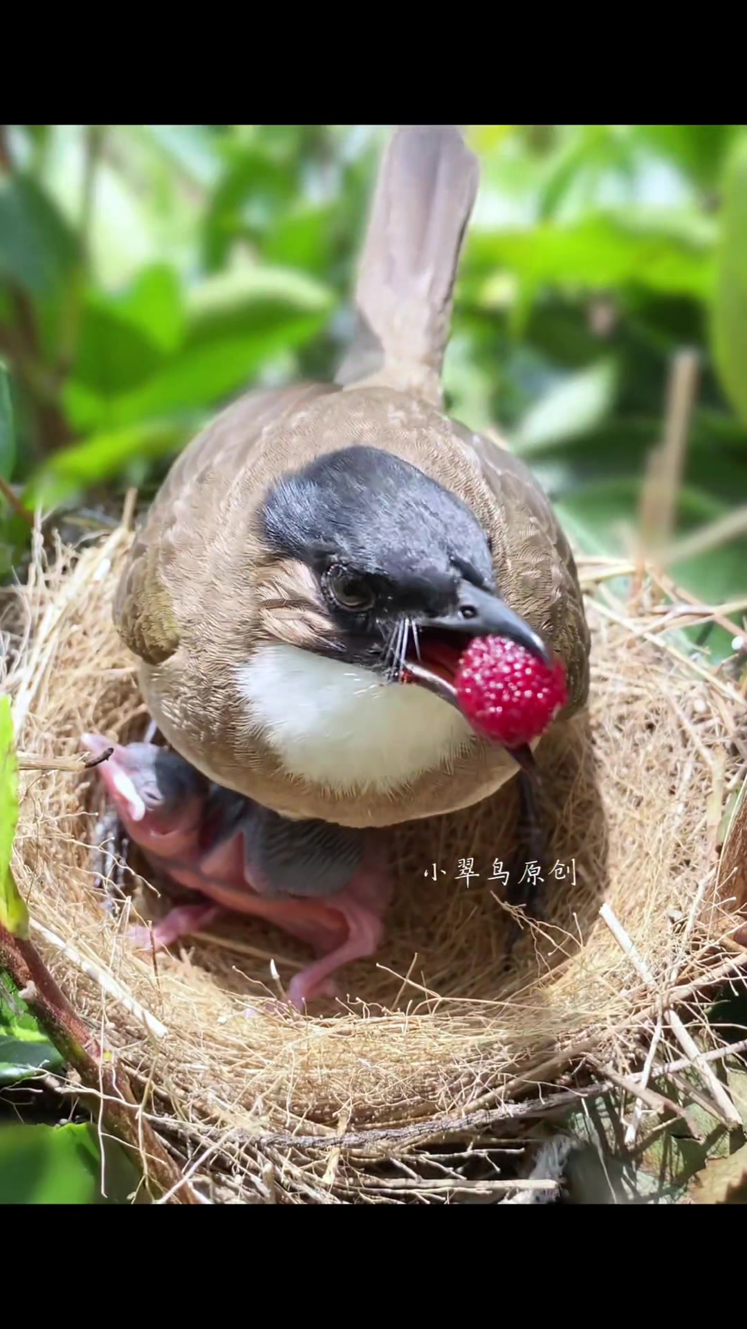 @gyfhvavmjg7