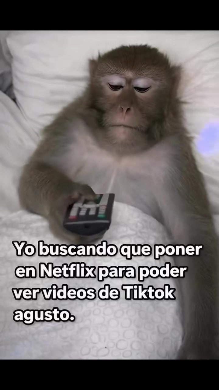 @🩷🦋L&Icirc;Ą🌙🐦&zwj;🔥