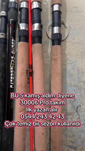 @balikoltasi