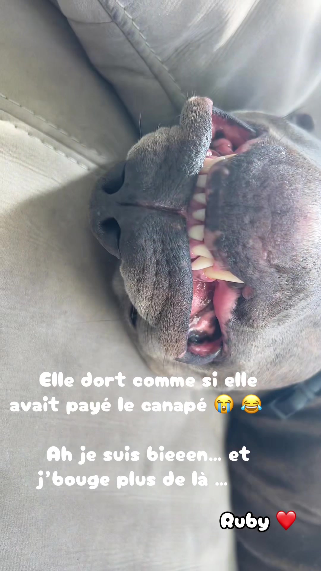 @rubylove_staffie94