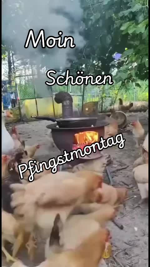 @Peter 1964