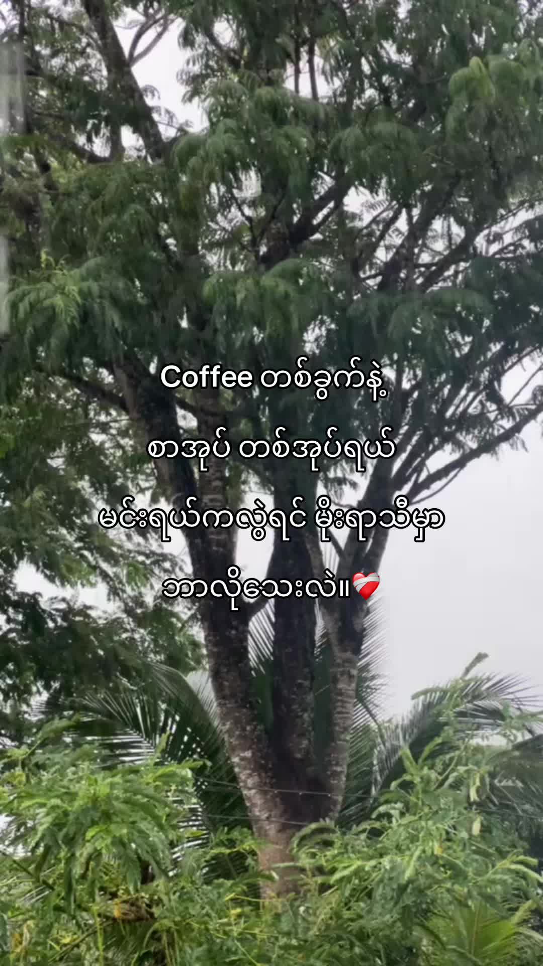 @M.Mi♏️ (Official)