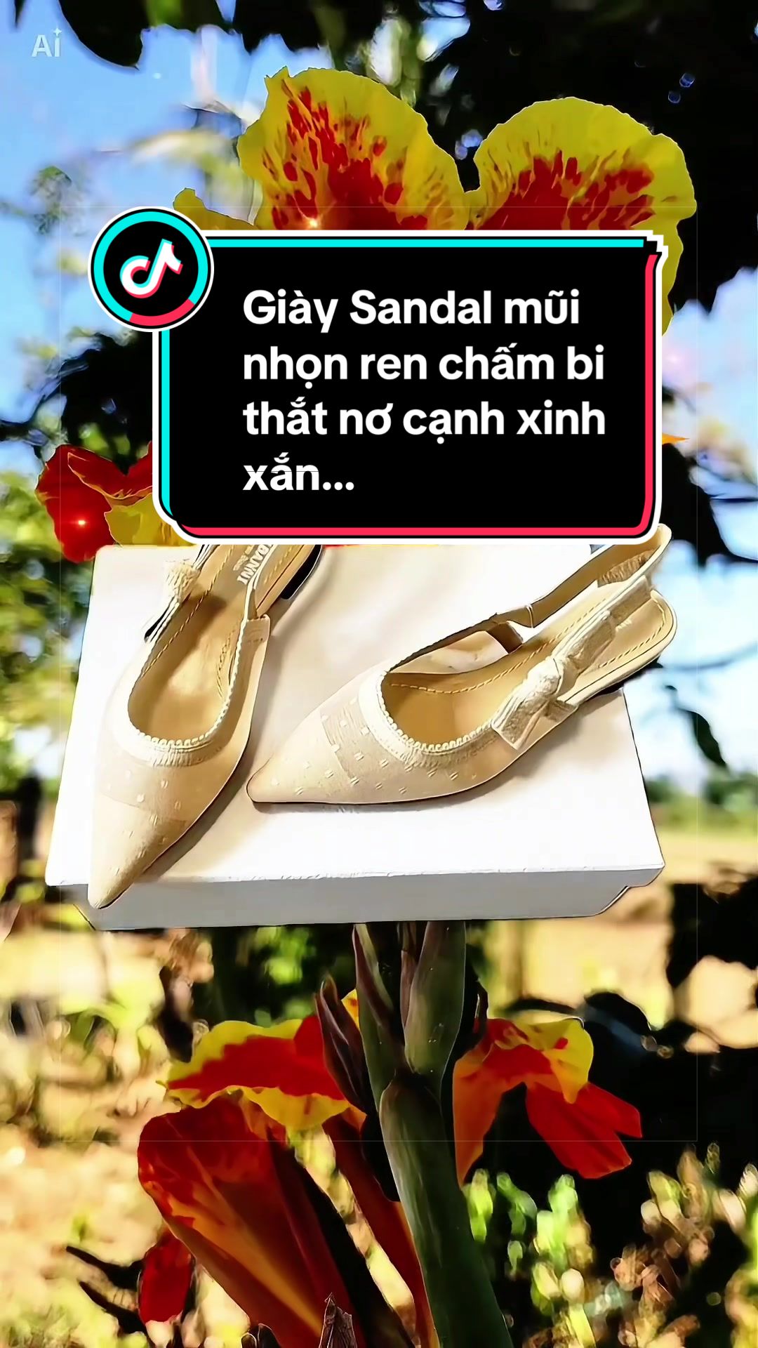 @TRƯƠNG PH&Aacute;P