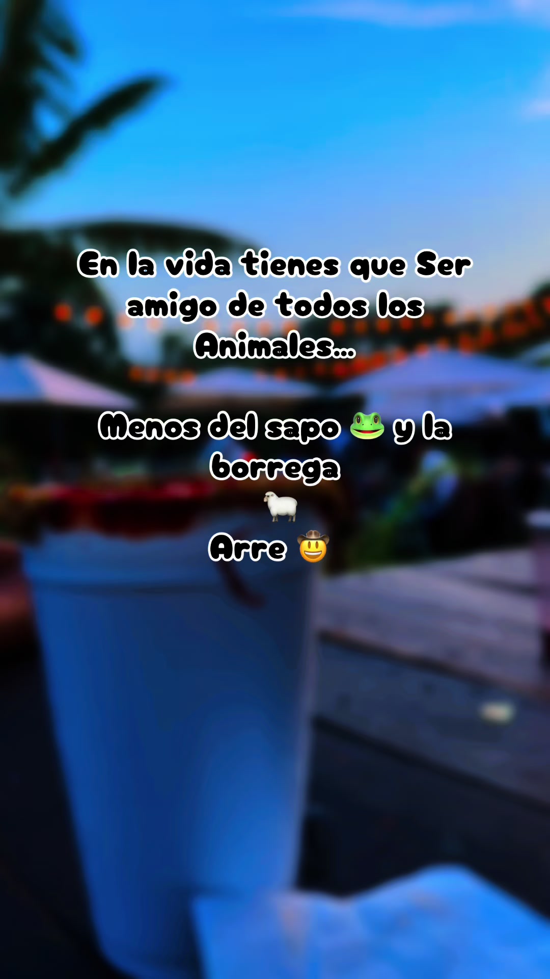 @๐ Neishi Nava ๐