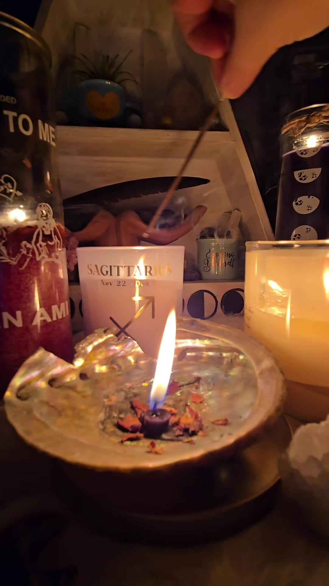 @Moon Flower ✨️
