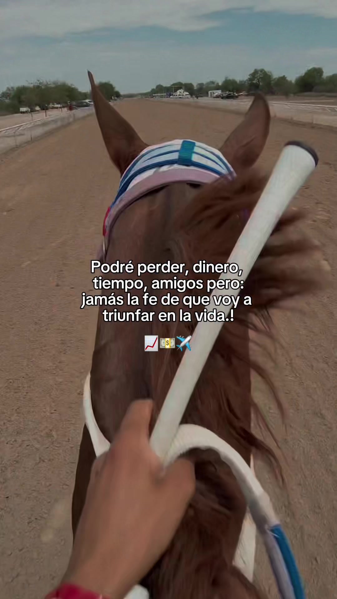 @Miguel Rodriguez 🏆
