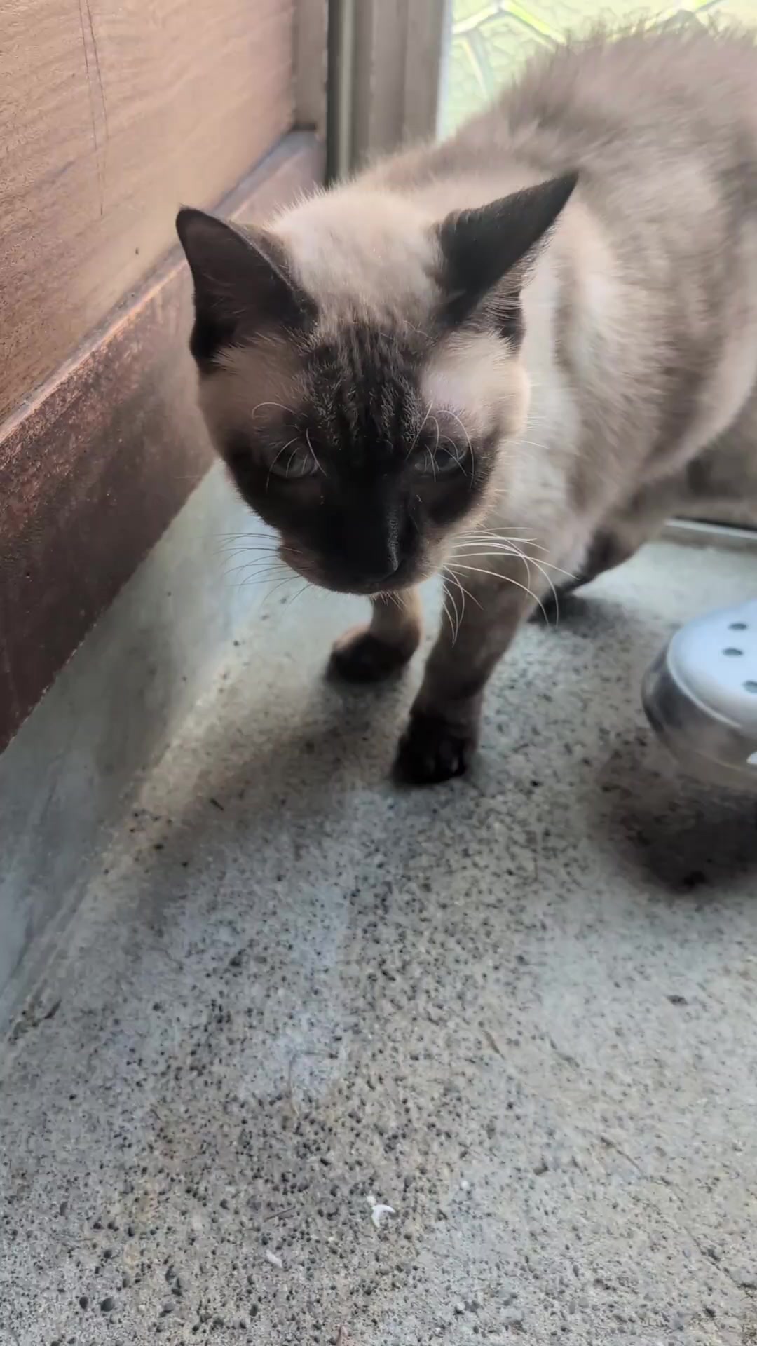 @睡眠プロデュース