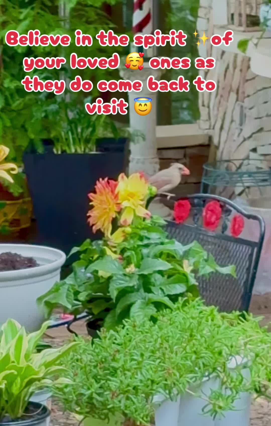 @E🌹