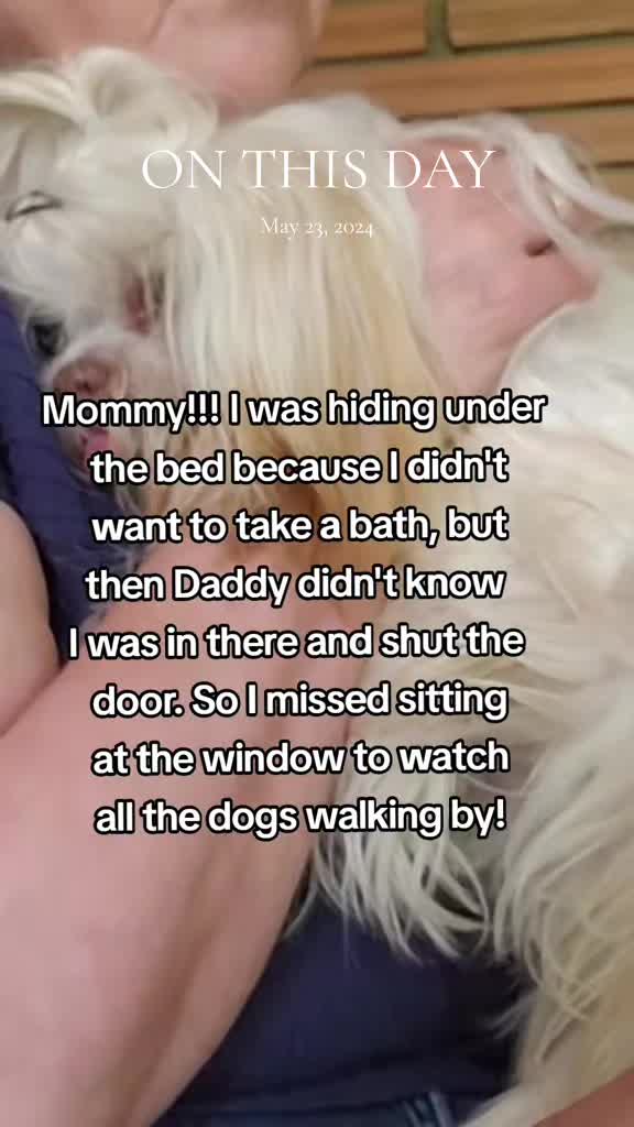 @Little Miss Mollie