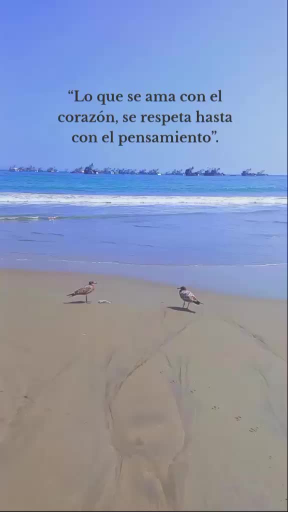 @Nani Torres