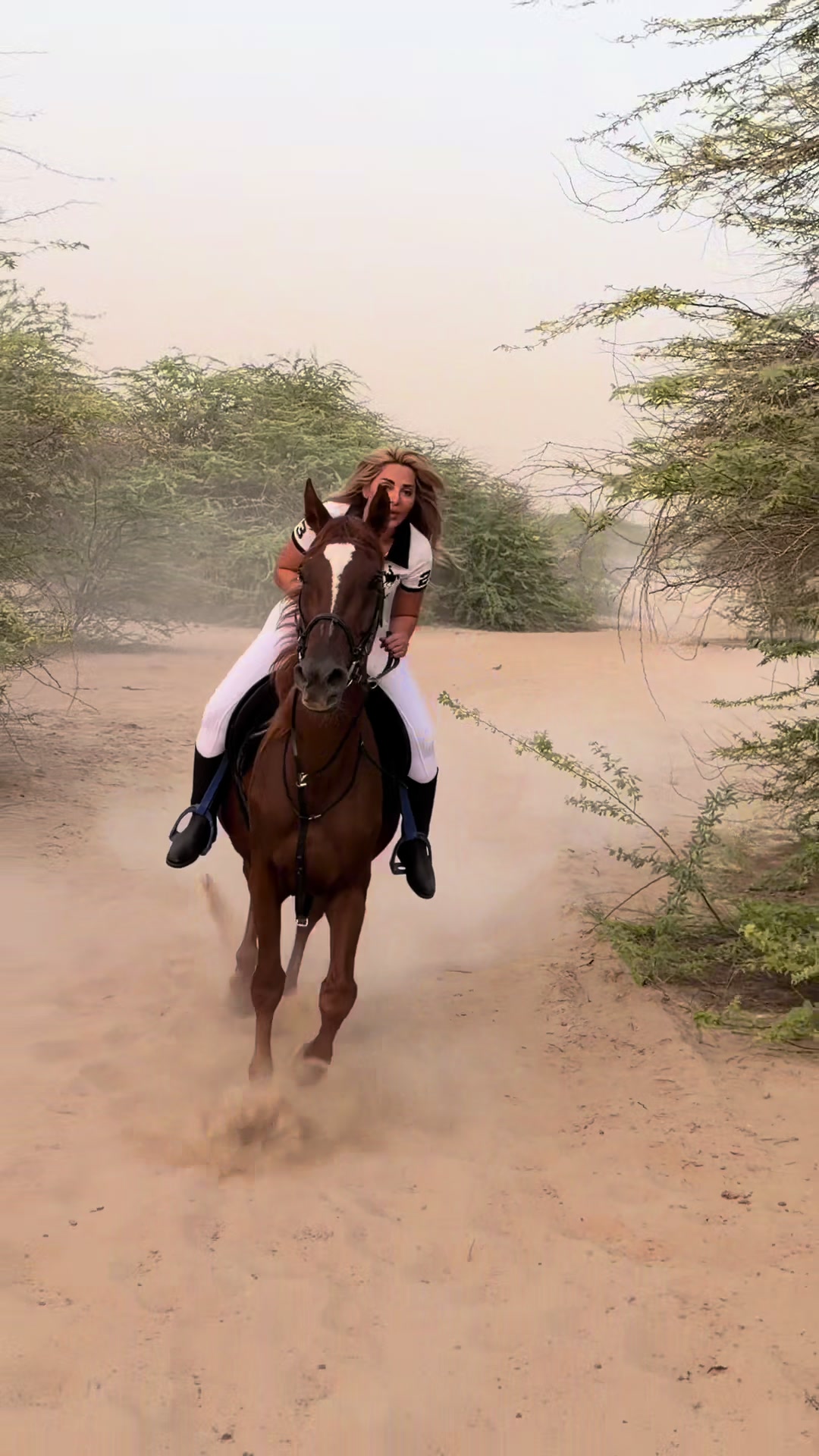 @Mai helmy - مي حلمي