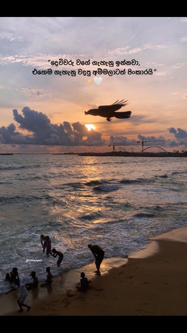 @SahanPerera 🇱🇰