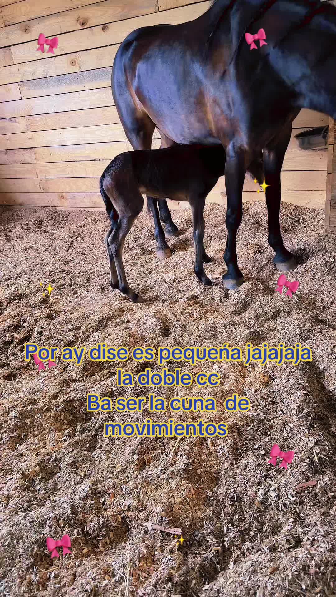 @Jessy Ruiz
