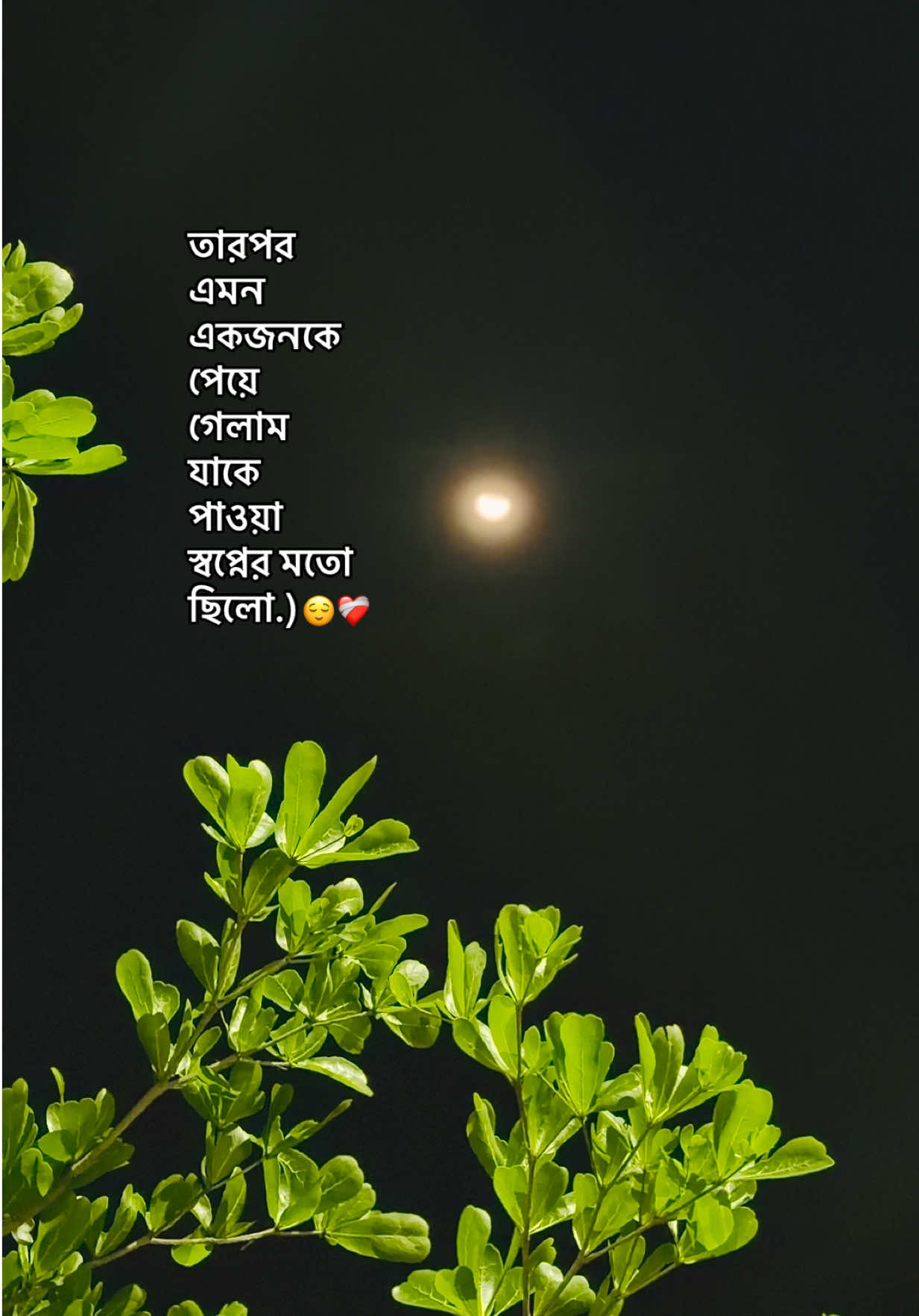 @❏ 𝐓𝐨𝐦'🐼