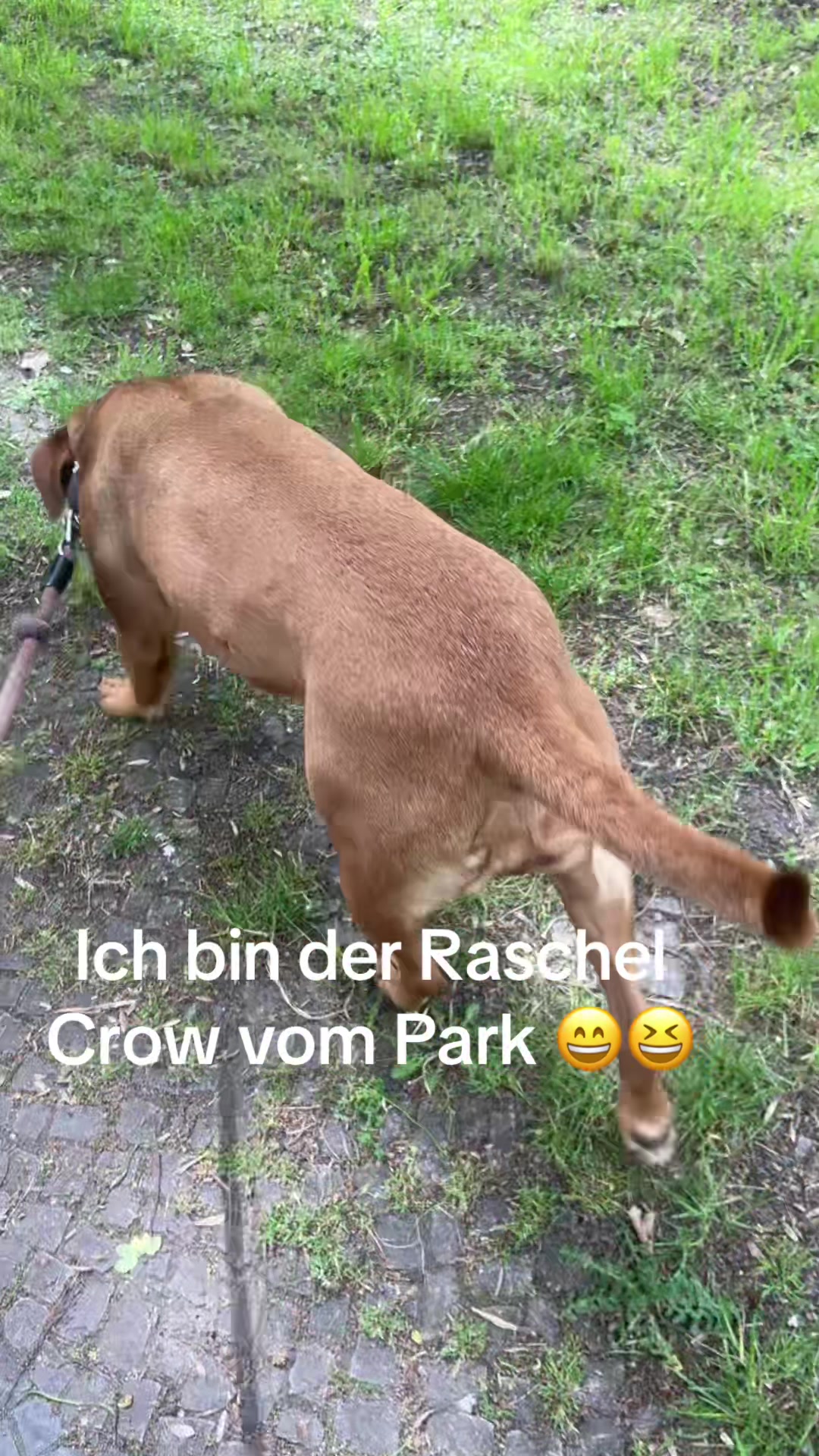 @Marleene🐶
