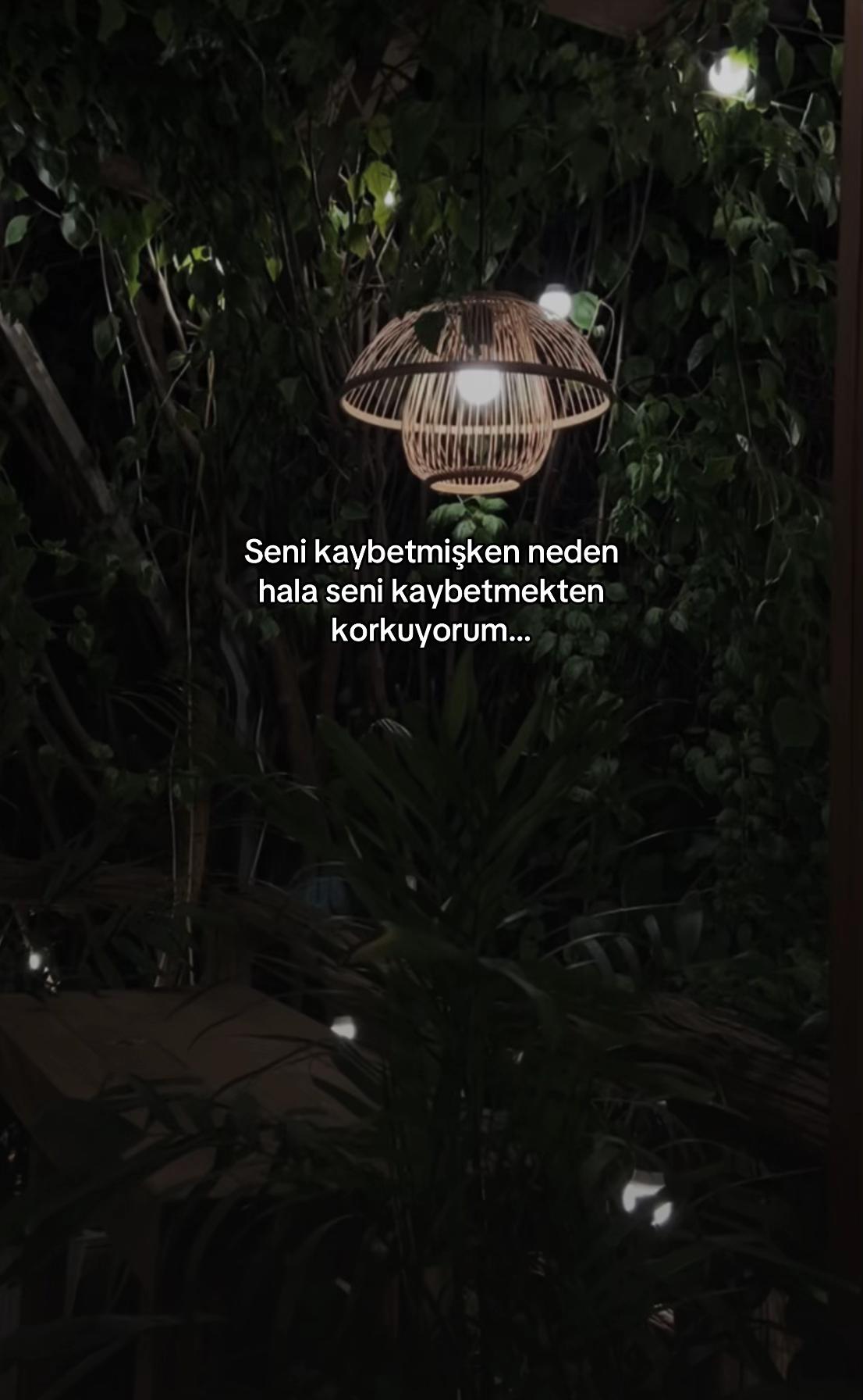 @seviyorgibiydin24