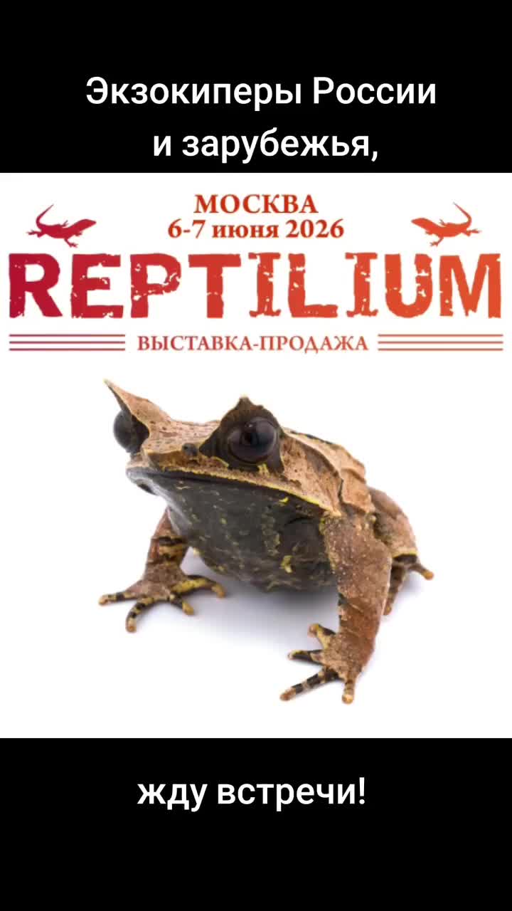 @Катя