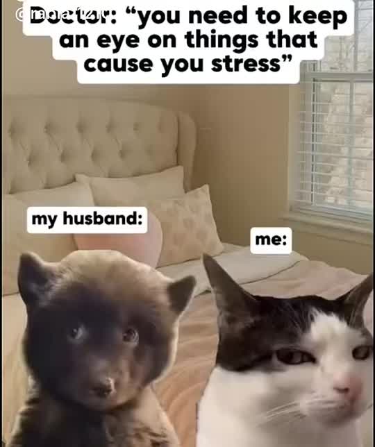 @WolfnPhoenix