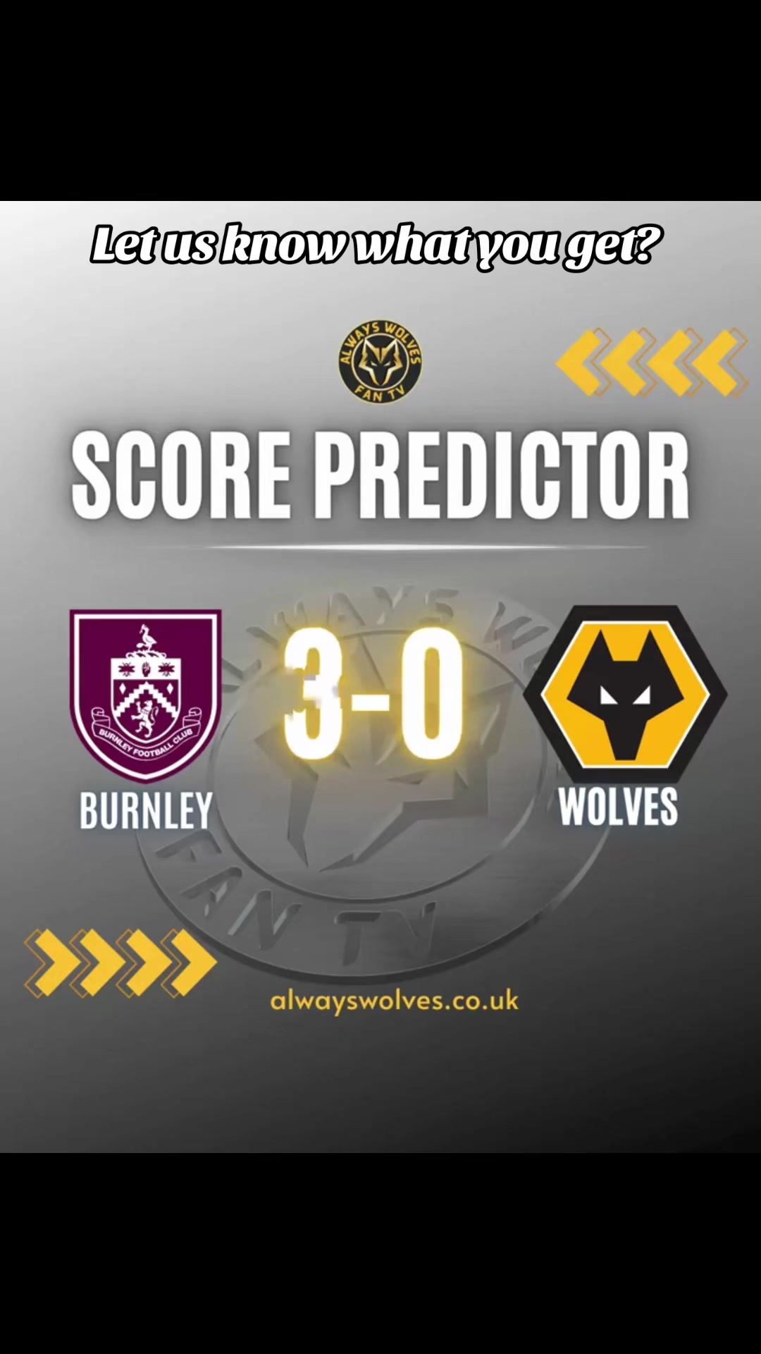 @ALWAYS WOLVES FAN TV