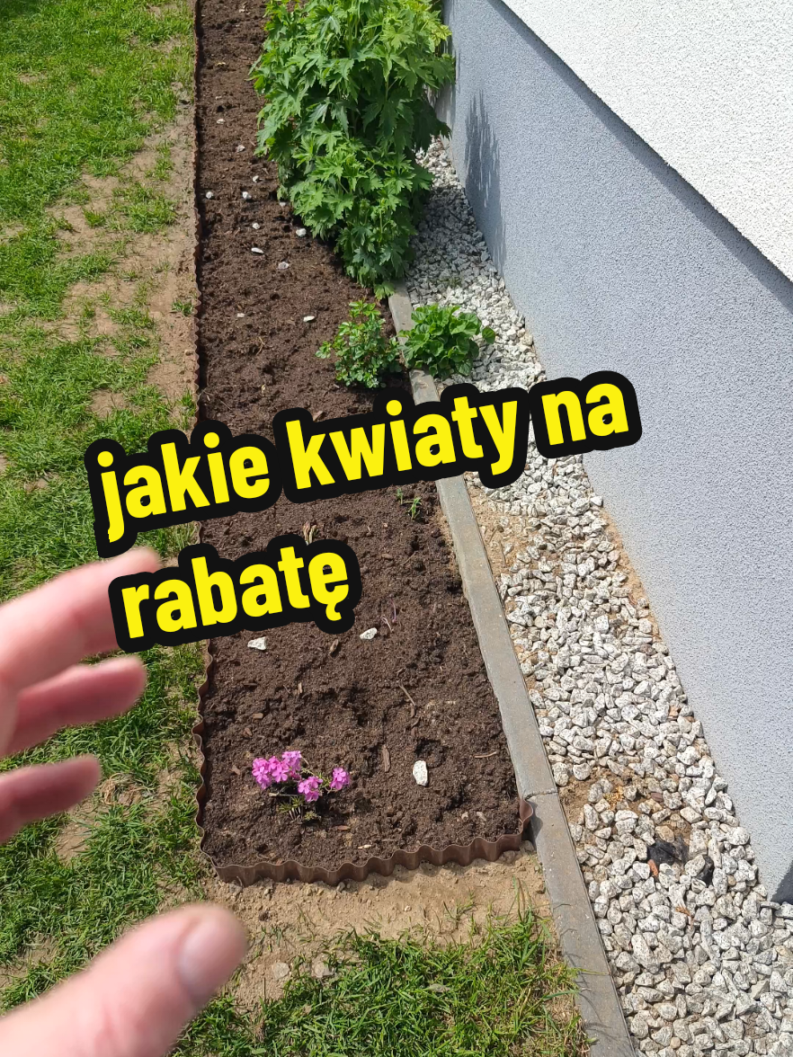 @Marcin ogrodnik