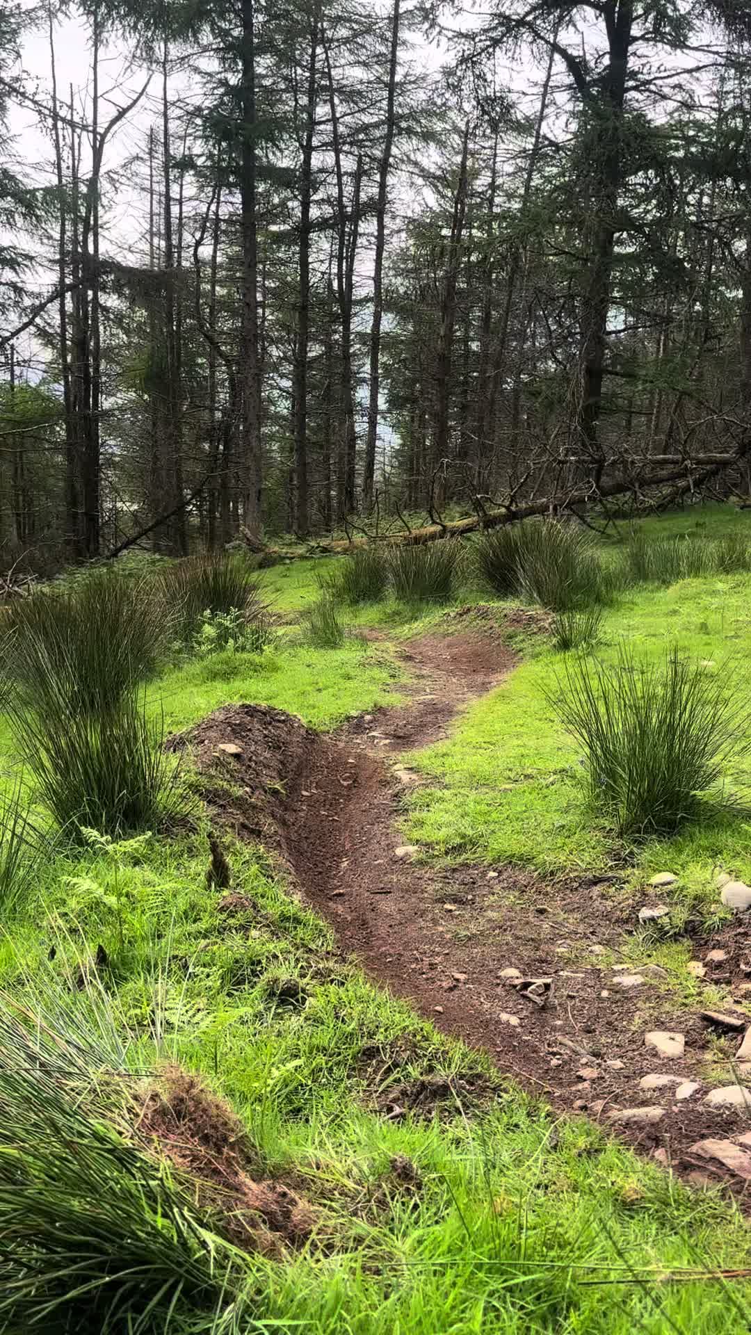 @clive_bikes
