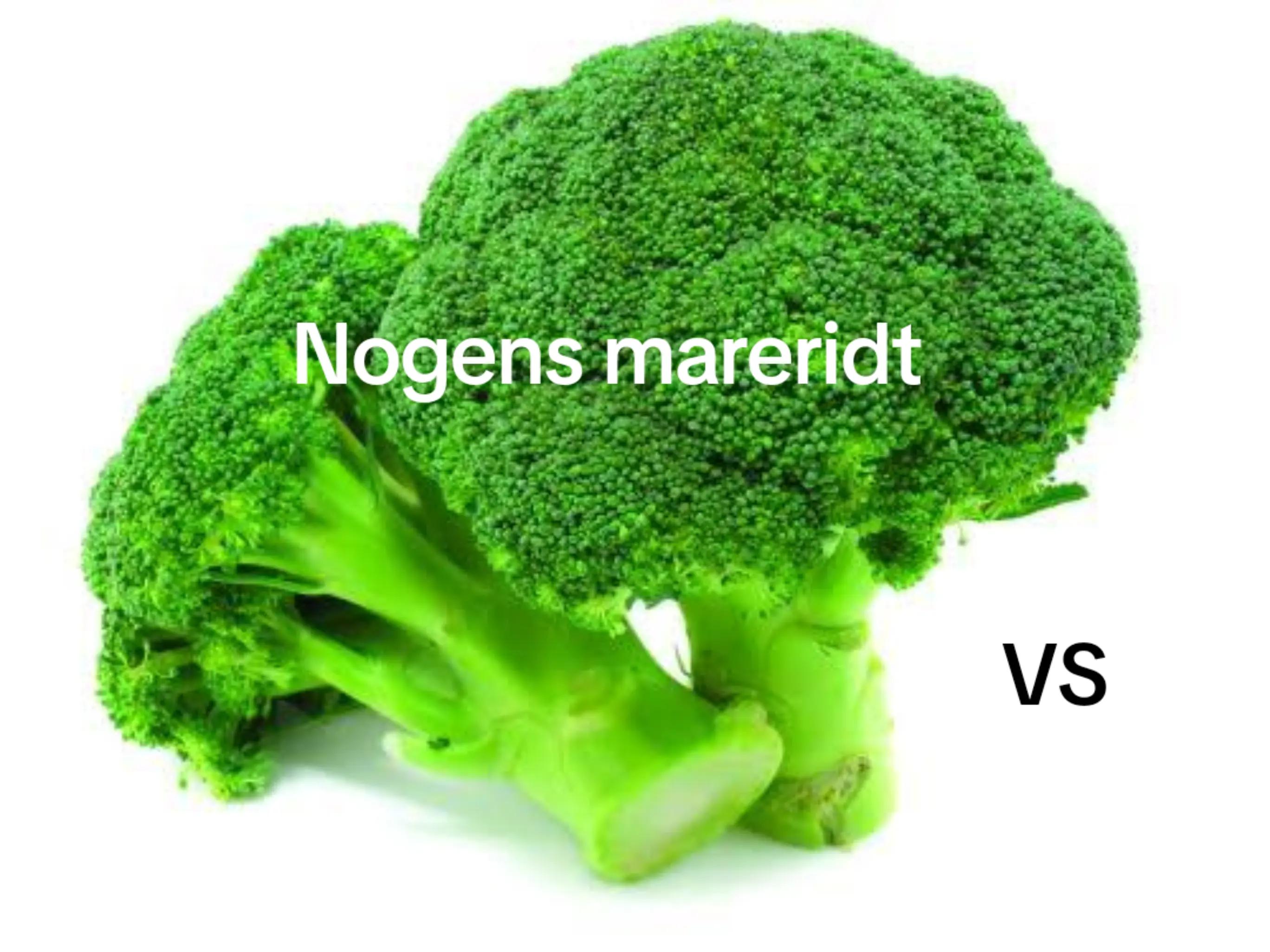 @LAU Mariagerfjord