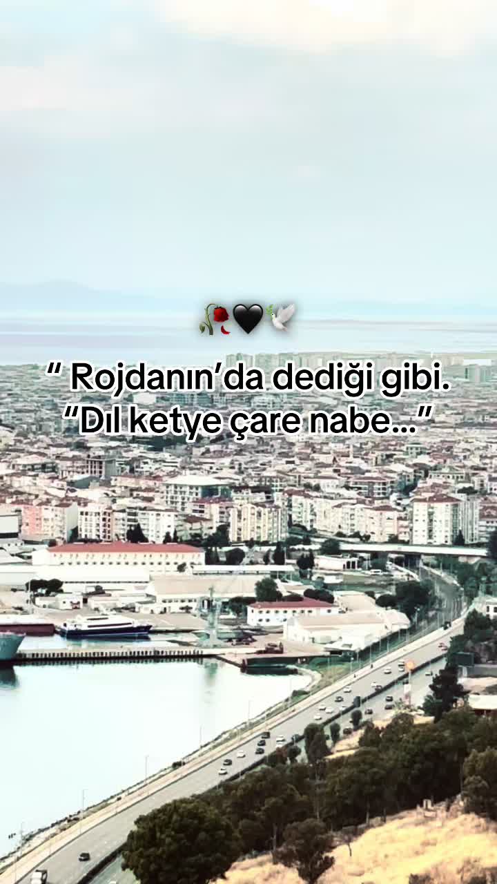 @storhanem63.01