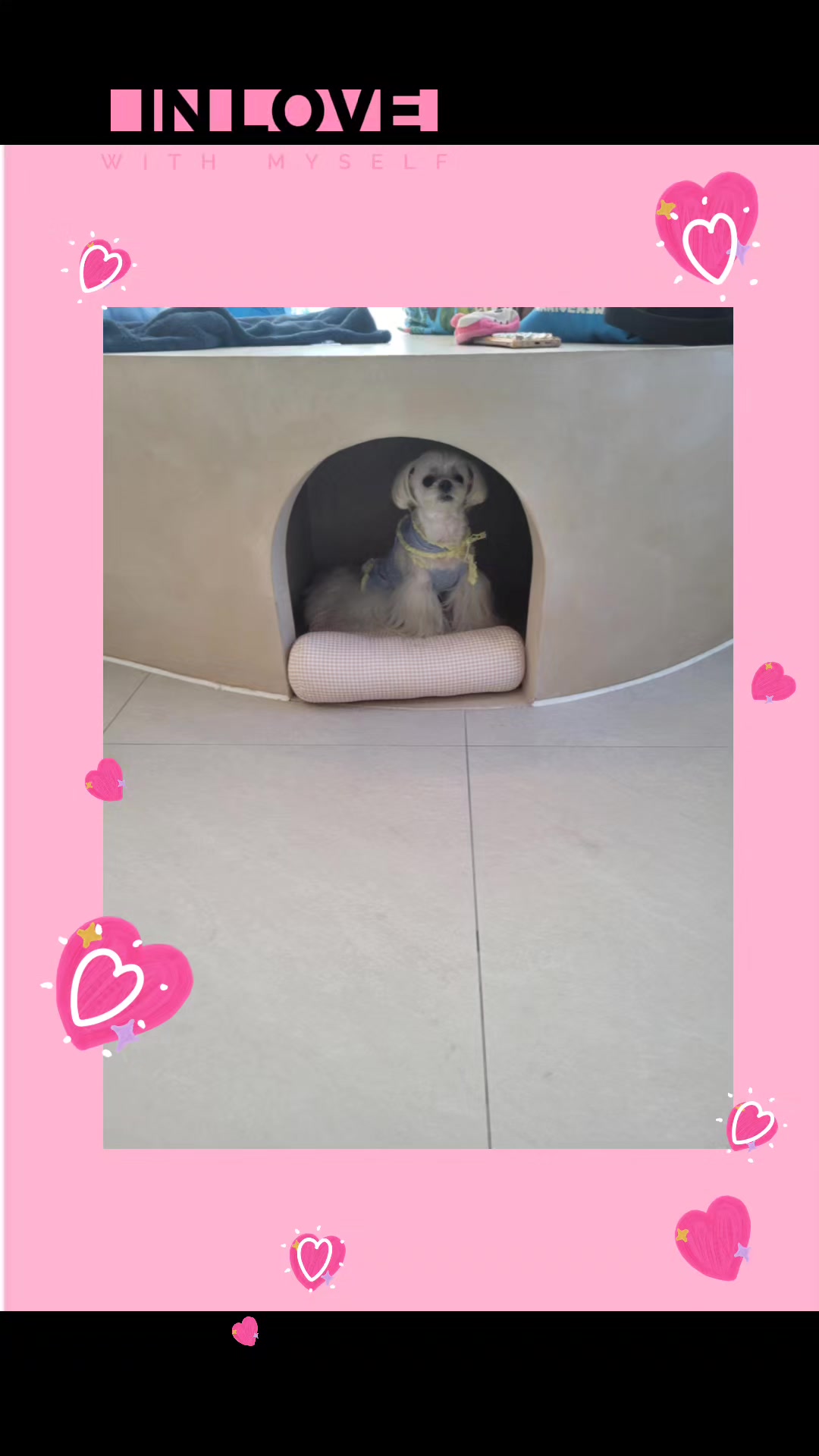 @벼리♡♡♡