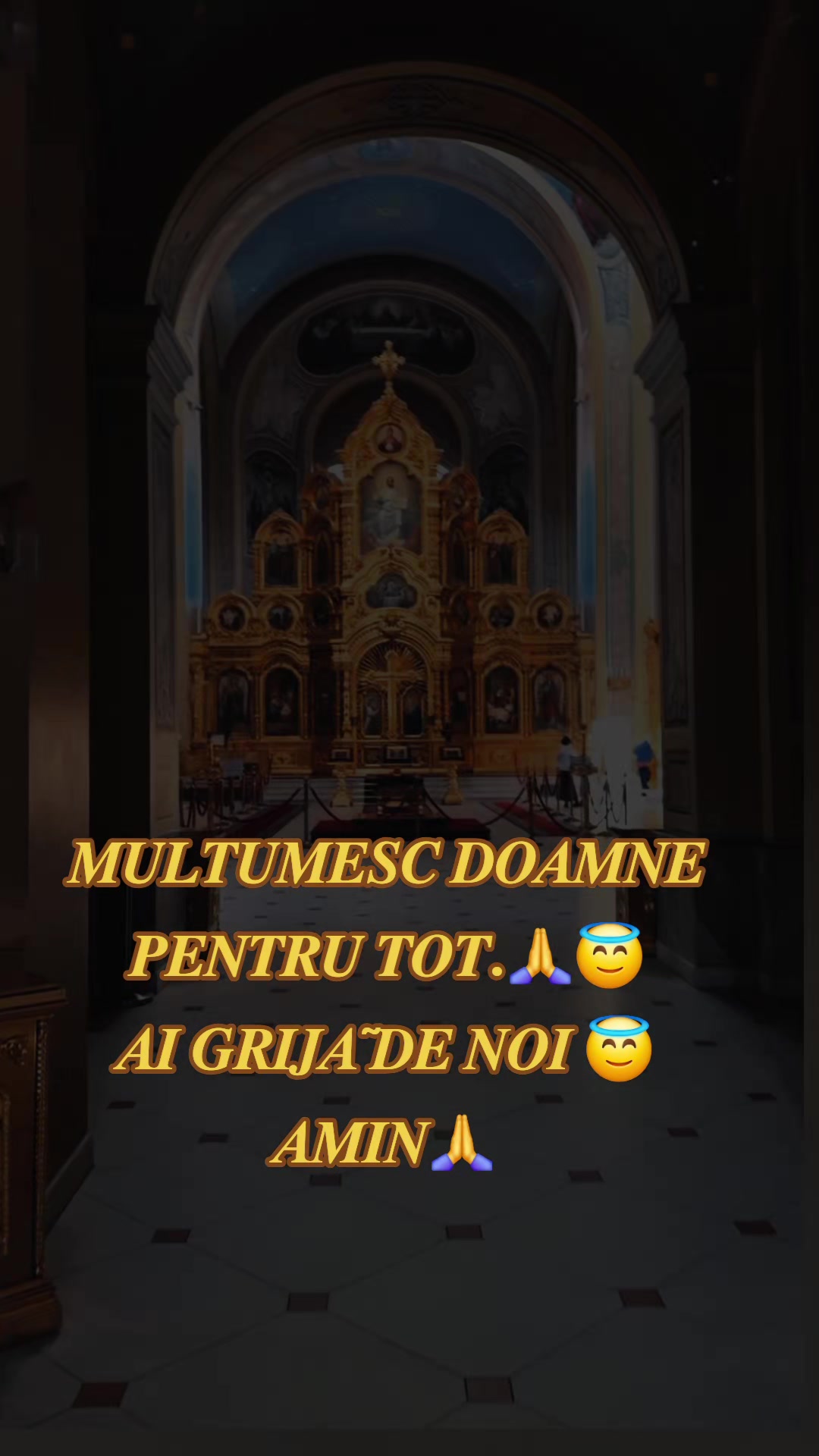 @🤍~𝒜ℒℐ𝒩𝒜~🐝