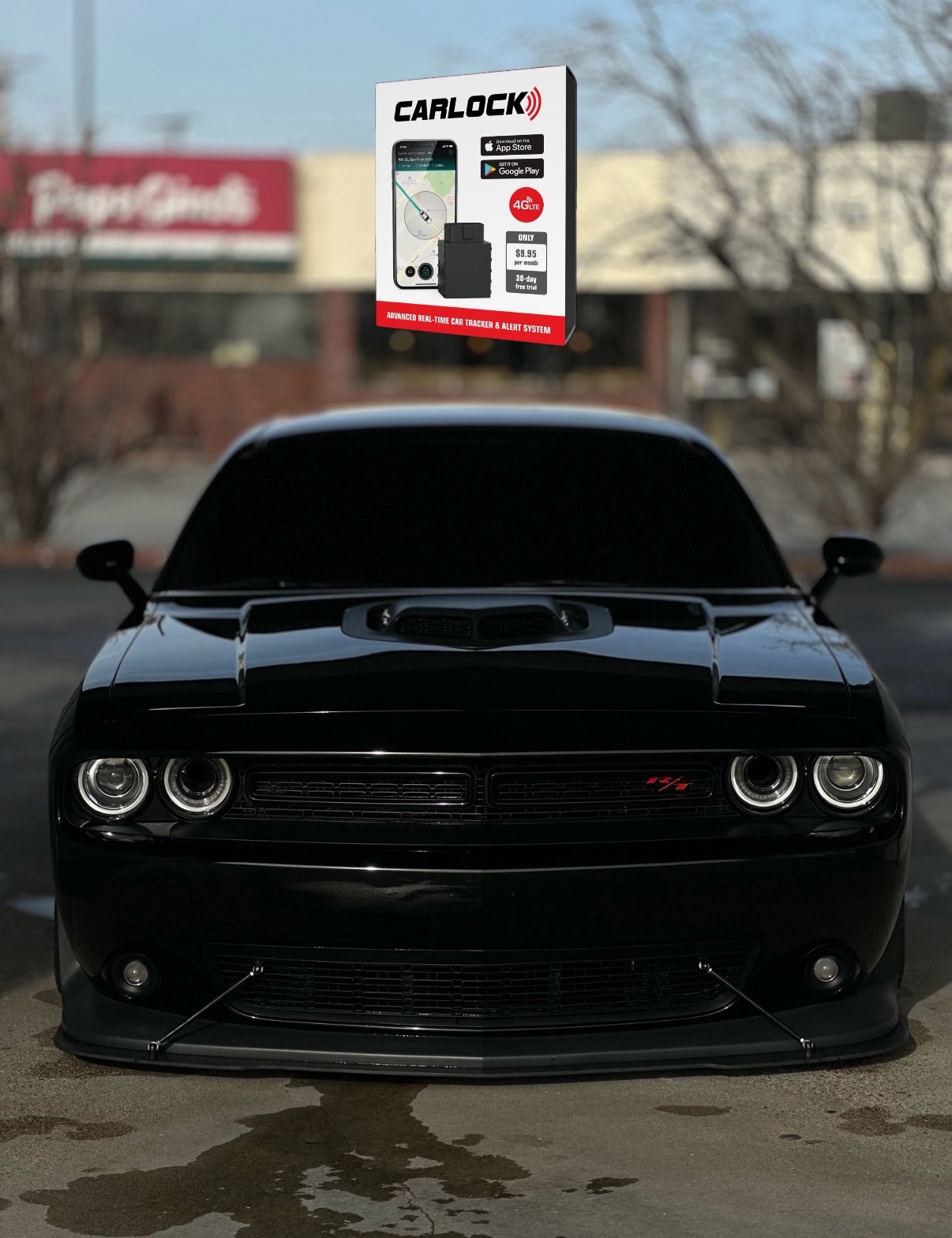 @Scatpack Bee 🐝