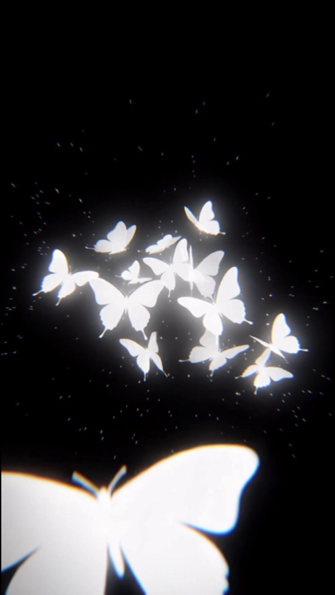 @Mahii🕊️