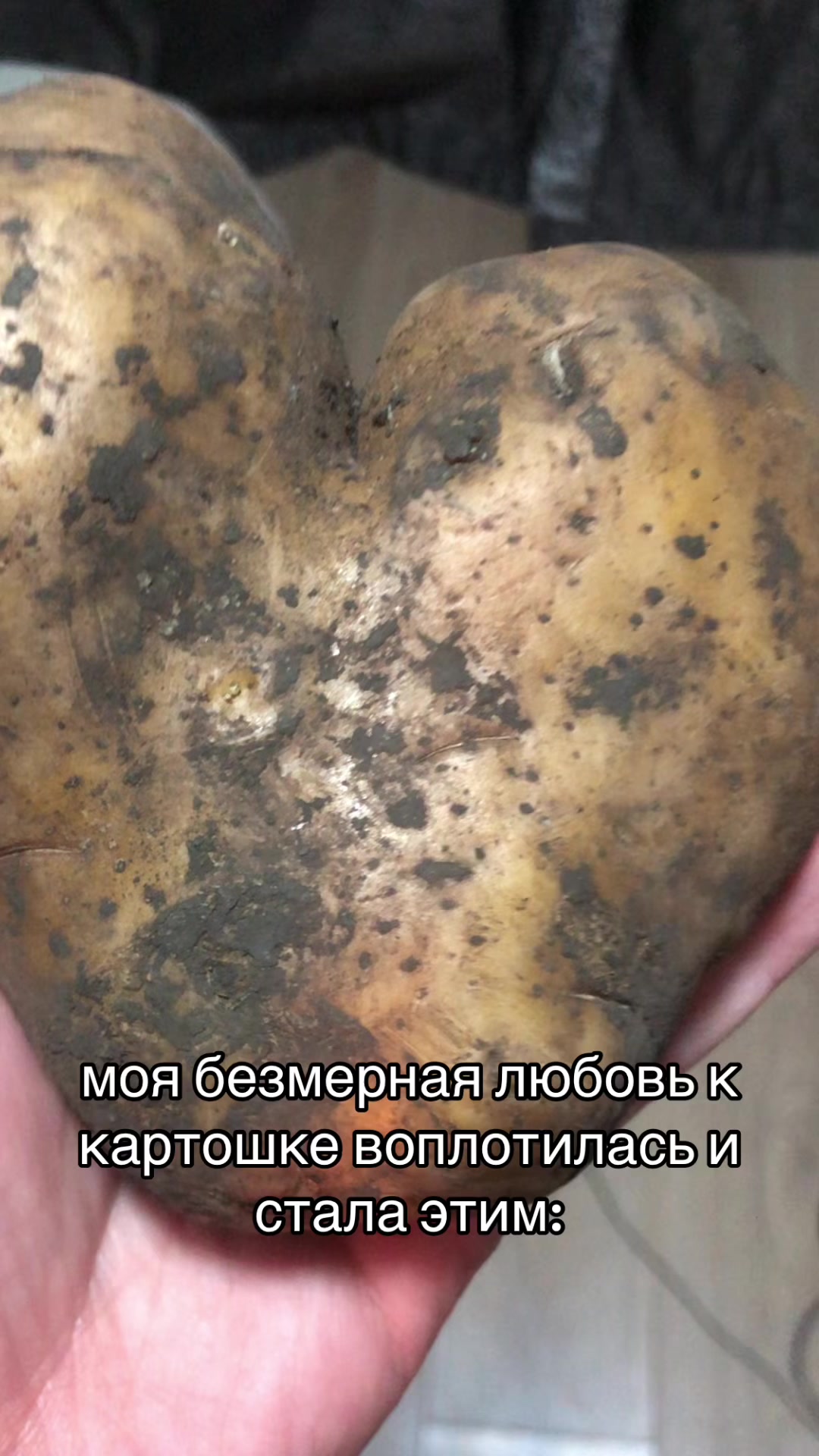 @Sasha Darko