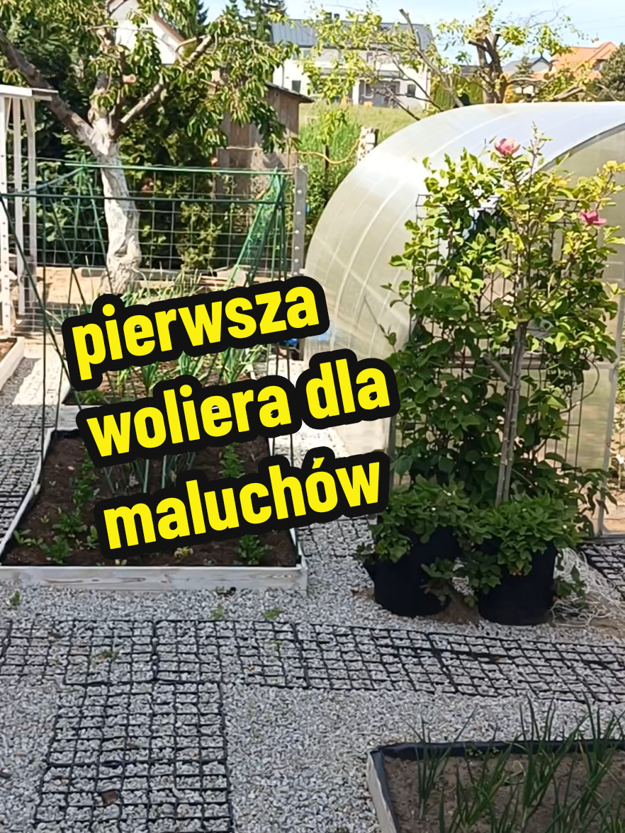 @Marcin ogrodnik