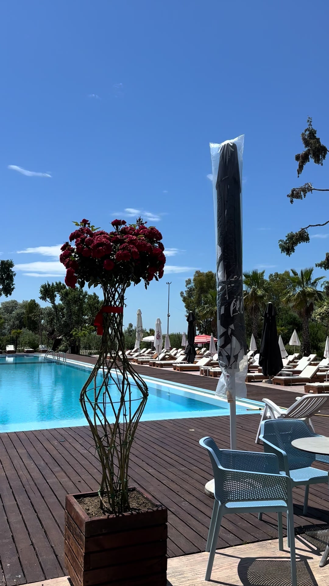 @DivjakaResort