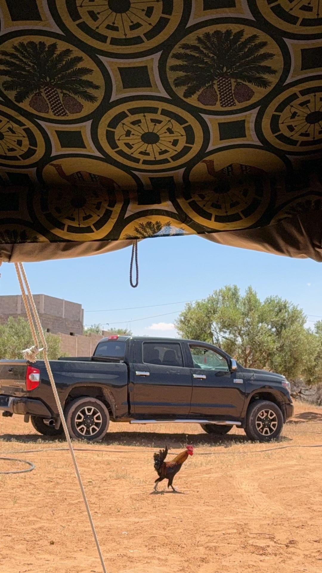 @نوري لحقيق