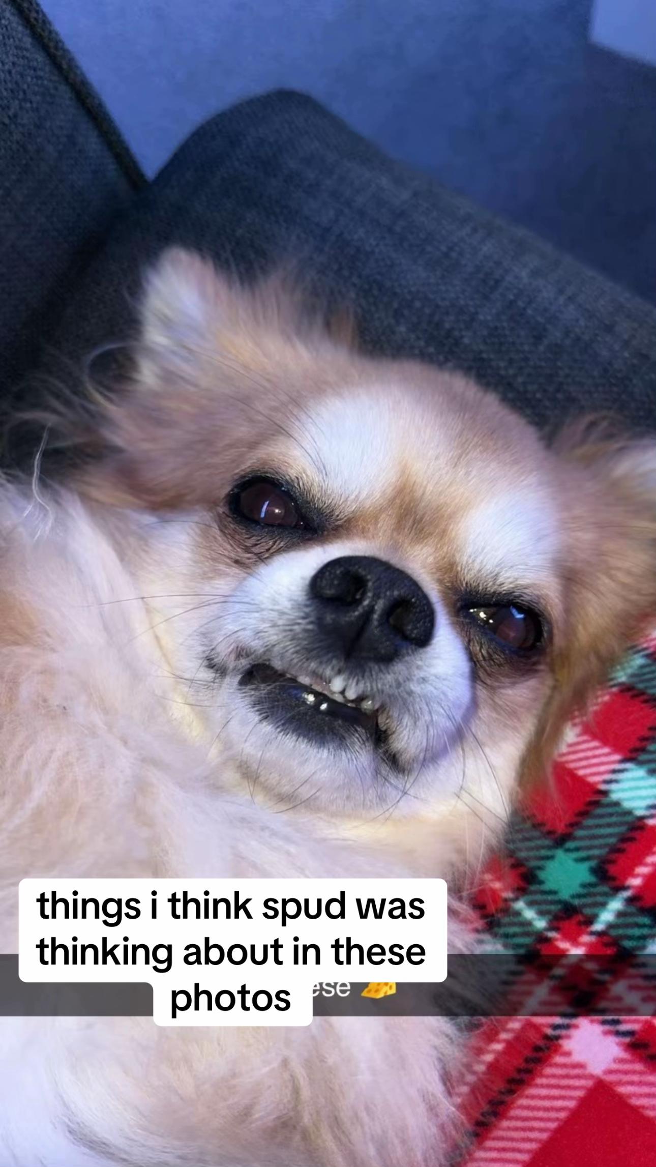 @soph x