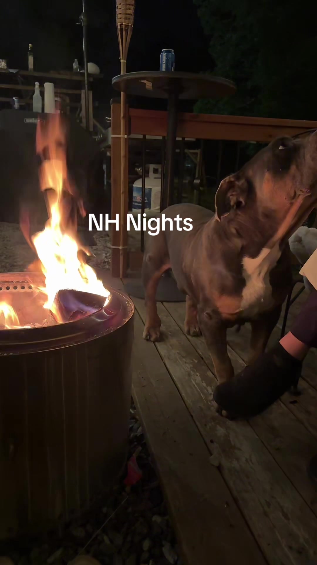 @mealzfrommaine